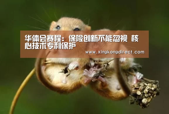 华体会赛程