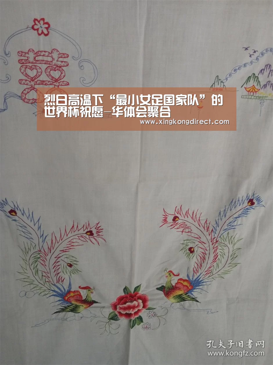 华体会直播