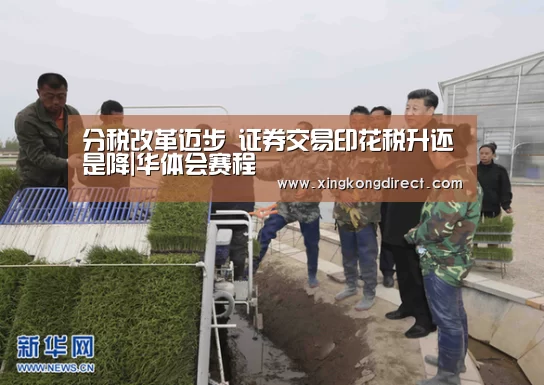 分税改革迈步 证券交易印花税升还是降|华体会赛程(图1) 华体会直播
