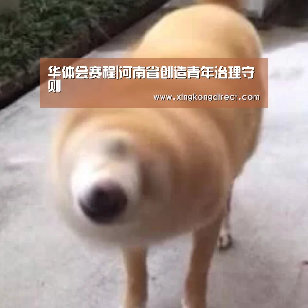 华体会赛程