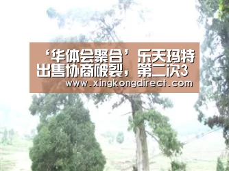 华体会快讯