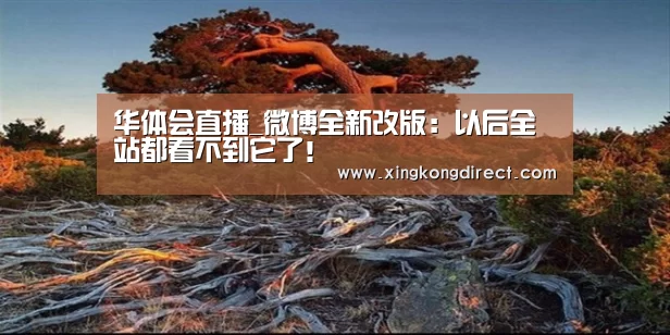 华体会快讯