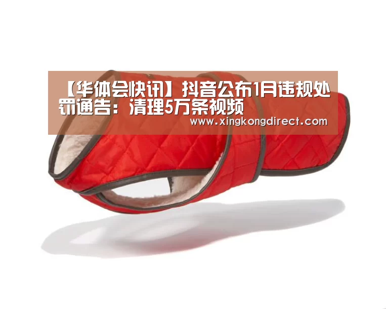 【华体会快讯】抖音公布1月违规处罚通告:清理5万条视频(图2) 华体会快讯